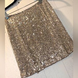 Love on a hanger Seqiun Lined Skirt Size 3